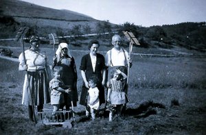 Heuernte 1942 in Obersteinebach