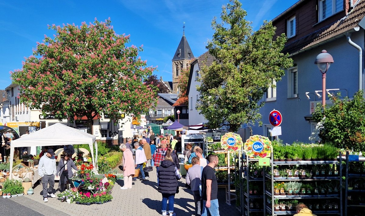 Blumenmarkt 1. 20250510 Blick In Die Kirchstraße