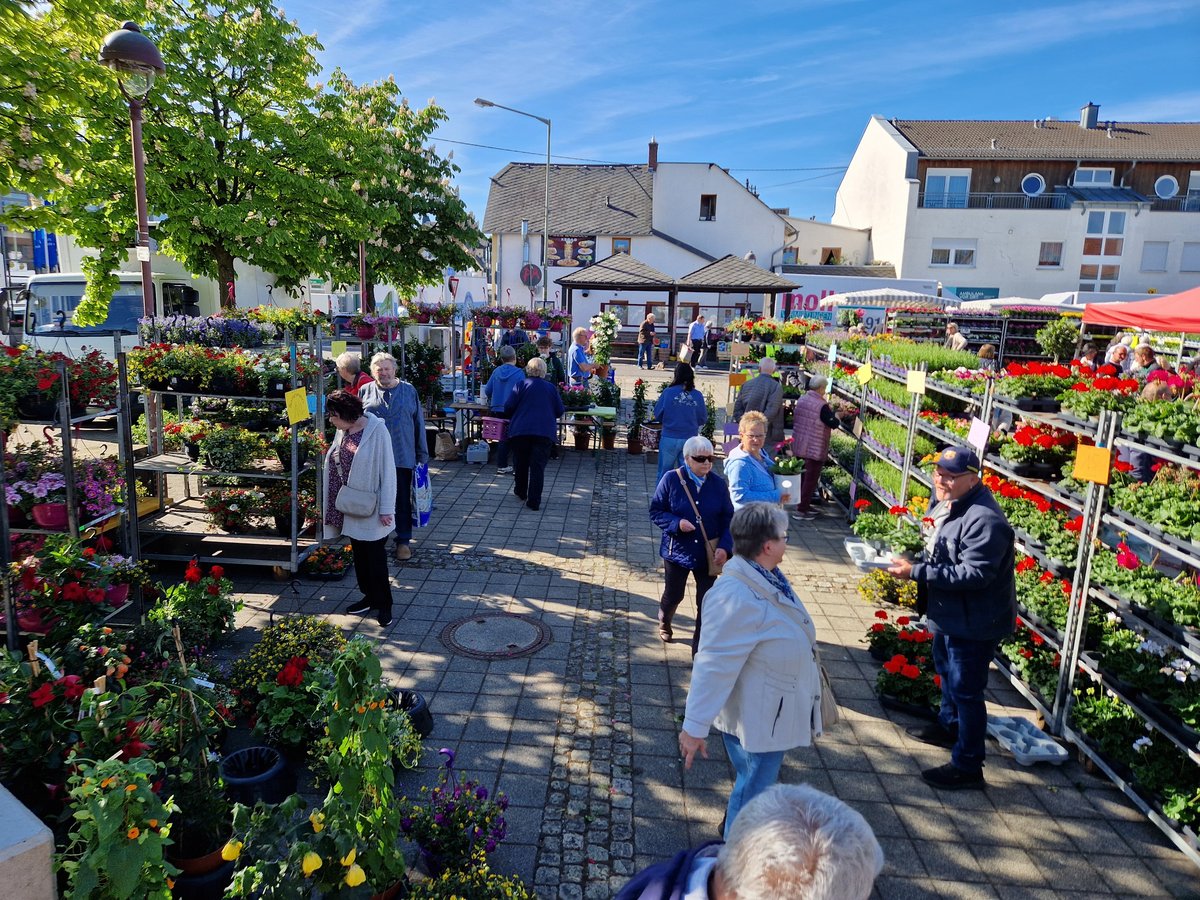 Blumenmarkt 20250510 093150
