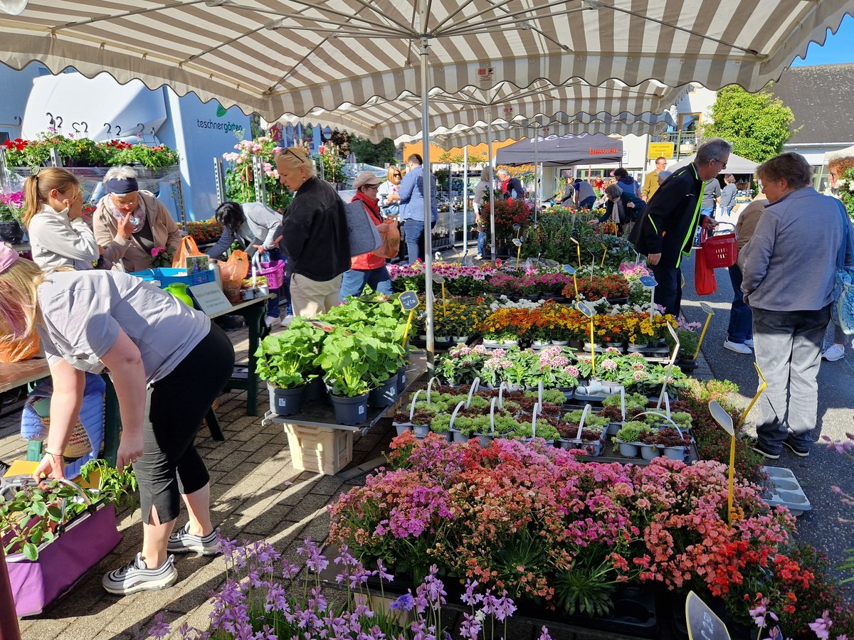Blumenmarkt 20250510 093457