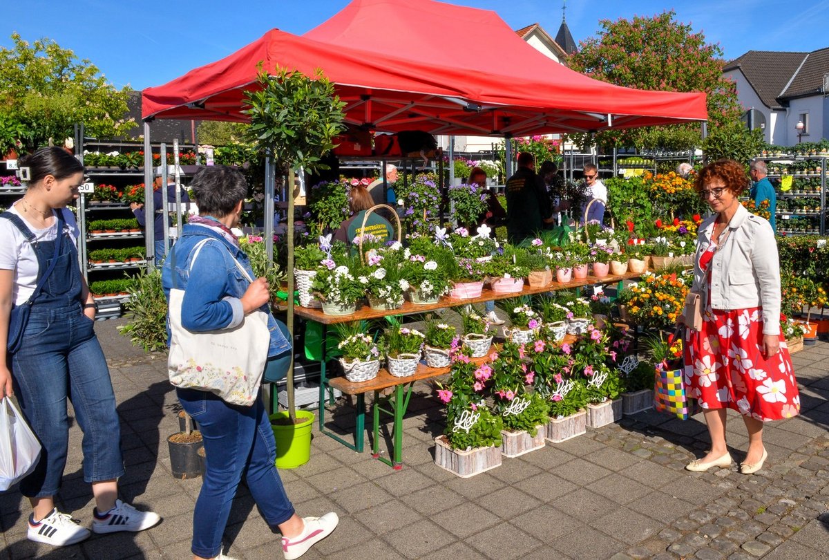 Blumenmarkt Mohr Foto Marktgeschehen